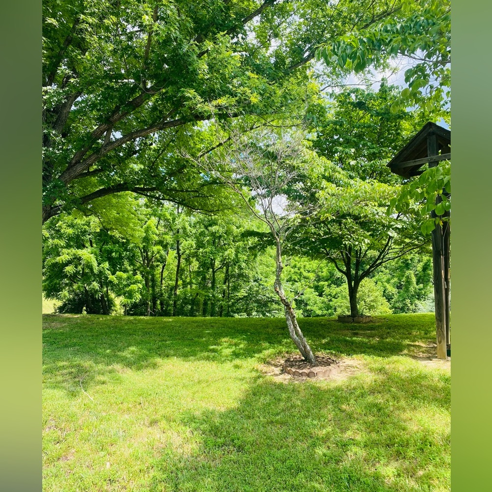 OFFERS WELCOMED!